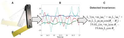 We did not find results for: Distilling Free Form Natural Laws From Experimental Data Science