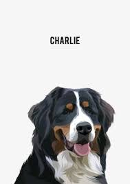 Get your pet portrait in less than 17 days! Custom Pet Portraits From Paint My Pooch Sydney Australia Ozdoggy