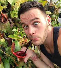 Image result for Gnidia hockii