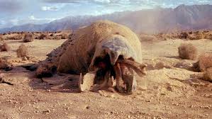Image result for mega monsters