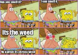 Check spelling or type a new query. Meme Creator Funny Can You Smell It I Can Smell It Its The Weed No Patrick Its Chrissy Weed Meme Generator At Memecreator Org
