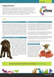 Puppy Nutrition Factsheet Pfma
