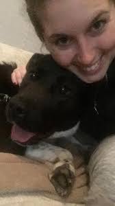 Eden shepherd puppy growth update