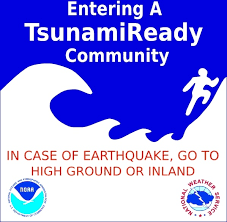 New south wales tsunami bulletin. Tsunami Vector Free Free Vector Download 10 Free Vector For Commercial Use Format Ai Eps Cdr Svg Vector Illustration Graphic Art Design