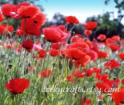 Pin On Etsy Lisitings Anyone Can Pin Handmade Items