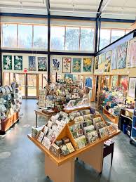 Image result for Ctenium concinnum