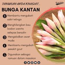 1 result for bunga kantan. Sukasuka Tomyam Mun Ada Bunga Kantan Nang Nyaman Facebook