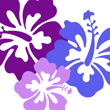 The original size of the image is 300 × 288 px and the original resolution is 300 dpi. Hawaii Clipart Bunga Raya Hnl International Airport Logo Transparent Png Free Download On Tpng Net