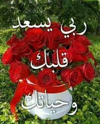 كلمات مساء الخير للاصدقاء الخير كلمات للاصدقاء مساء good morning images flowers beautiful morning messages good morning roses
