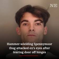 He bit her neck and refused to let go  https://www.chroniclelive.co.uk/news/north-east-news/drunk-byker-veteran-left-partner-31890955