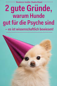 Hunde Wirken Sich Laut Einer Neuen Studie Dramatisch Auf Die Menschliche Psyche Aus Alles Gute Zum Geburtstag Hund Hunde Hund Im Buro