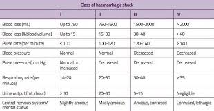 Image result for Hemorrhage Classification