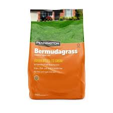 When rust occurs on forage bermudagrass, it should be immediately cut for hay or grazed heavily. Grass Seeds Stine Home Yard The Family You Can Build Around