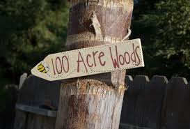 100 Acre Woods 100 Acre Wood Winnie The Pooh Birthday Winnie The Pooh Themes
