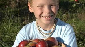 Lyman Orchards (2025)