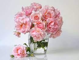 There have been a handful of studies on the subject, but they've reported conflicting. Viagra Can Keep Your Cut Flowers Fresh For An Extra Week