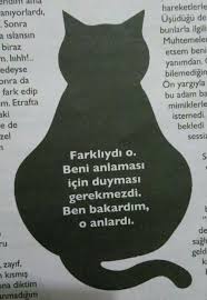 Bypknc Adli Kullanicinin Karanlik Panosundaki Pin Ilham Veren Alintilar Ilham Veren Sozler Ayrilik Sozleri