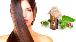 Ways to use burdock root for hair growth, hair loss and dandruff burdock is also called a thistle, it refers to the weedy species of grasses. Buy Natural Burdock Root Oil With Horsetail For Hair Scalp To Help Reduce Hair Loss Stimulate Hair Growth 100ml Online In Kuwait B07htp4j9r