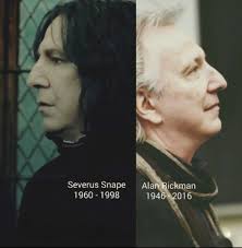 Harry Potter -The Hogwarts Wizard