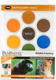 Amazon Com Panpastel 30082 Jason Morgan 10 Color Ultra Soft Artist Pastel Wildlife Painting Kit W Sofft Tools Palette Panpastel colors have played such an important role.
