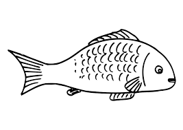 Coloring is essential to the overall development of a child. Free Printable Fish Coloring Pages For Kids