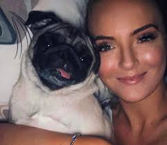 Where's the pug bitten by a rattlesnake yesterday?