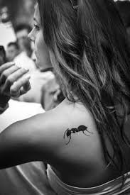 Ushuaia Ibiza Loves Hummingbirds Pretty Tattoos Pinterest