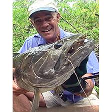 Dangerous Fish That Can Kill You Outdoor Life