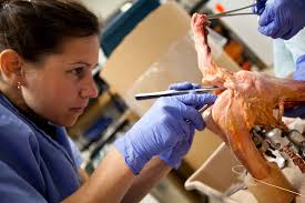 Melanie Beaulieu & Kathryn Van Ham