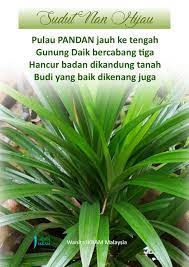 Pokok pandan membiak melalui cara keratan, akar, anak benih sulur, dan anak pokok. Sudut Nan Hijau Daun Pandan Wanita Ikram Malaysia Facebook