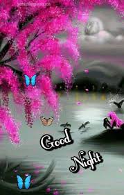 Beautiful Love Images Of Good Night Photos Pics Hd Download For Whatsapp Goodnightimagesnpi In 2020 Good Night Photos Hd Good Night Images Hd Good Night Photo Images