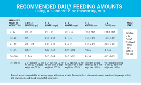 How Much To Feed A Puppy Puppy Feeding Chart Purina Dog