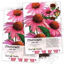 Maybe you would like to learn more about one of these? Seed Needs Ruby Star Coneflower Echinacea Purpurea Twin Pack Of 25 Seeds Each Buy Online In Antigua And Barbuda At Antigua Desertcart Com Productid 4809248