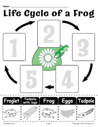 Life Cycle Of A Frog Printable Worksheet Cycle For Kids Frog Life Cycle Activities Life Cycles Preschool