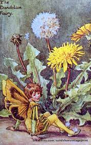 1930s Dandelion Fairy And The Windflower Fairy Cicely Mary Barker Doublesided Print Ideal For Framin Vintage Fairies Spring Fairy Flower Fairies