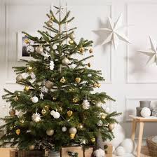 Ikea Christmas Tree Ikea Christmas Tree Real Christmas Tree Silver Christmas Tree
