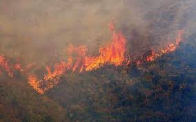 Check spelling or type a new query. Greece S Civil Protection Issues Wildfires Warning Map As Temperatures Soar