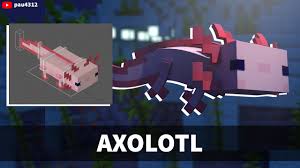 A baby axolotl on the side of a group. Rau 4 3 1 2 Youtube Channel Analytics And Report Powered By Noxinfluencer Mobile