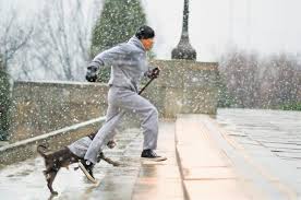 Rocky iv is a 1985 american film written by, directed by, and starring sylvester stallone. The Weirdest Training Methods From The Rocky And Creed Movies Ign