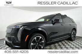 Image result for Raven Black 2003 Audi