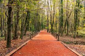 Belgrad forest, located in the european side of istanbul, a charming wooded area with breathtaking nature. Belgrad Forest Top Things To Do See Where How To Get