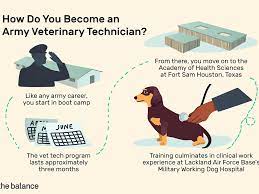 On the lowest end, veterinary assistants are making about $18,645 with the high end topping out around $37,000. Career Profile U S Army Veterinary Technician