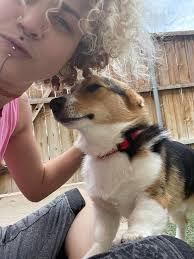 Maxwell Street. I can smell it 😁