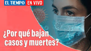 De acuerdo con una nota que publica la clinica dávila en su página web, la vacuna de sinovac ha demostrado 100% de eficacia para impedir casos. Sinovac El Porcentaje De Eficacia De La Vacuna China Que Compro Colombia Salud Eltiempo Com