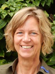 Verdroging Heelsums beekdal: wat zijn de gevolgen voor de natuur?