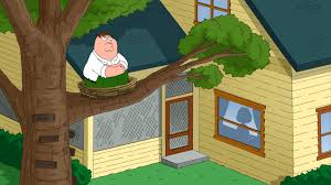 House just being house but now on family guy i do not own family guy, family guy and familyguy.com are registered trademarks of twentieth century fox film corporation. Family Guy Tv Show On Fox Canceled Or Season 16 Release Date Canceled Renewed Tv Shows Tv Series Finale
