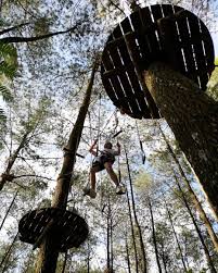 Selain wahana edukasi , di jatim park 1 ini juga terdapat wahana lainnya seperti wahana anak, wahana keluaga, dan wahana extrim. Bermain Outbond Di Kopeng Treetop Semarang Image From Feritanata Semarang Pemandangan Liburan