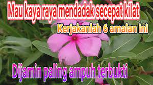 Anda Mau Cepat Kaya Raya Mendadak Secepat Kilat Kerjakanlah Amalan Ini Kilat Amal