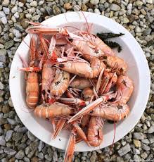 Comment Cuire Les Crustaces Langoustine Recette Comment Cuire Des Crevettes Cuisine Poisson