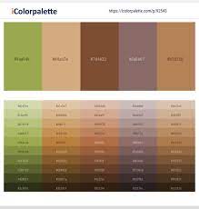 Together, this is a color scheme that conveys. 2 Latest Color Schemes With Olive Green And Tan Color Tone Combinations 2021 Icolorpalette